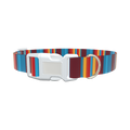 Colorful Stripe Dog Collar - plastic rose gold