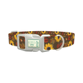 Autumn Floral Dog Collar - plastic silver