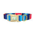 Vivid Stripe Dog Collar - plastic gold