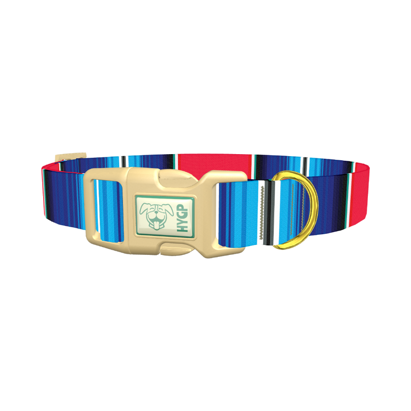 Vivid Stripe Dog Collar - plastic gold