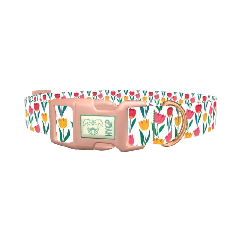 Colorful Tulip Dog Collar - plastic rose gold