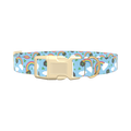 St. Patrick's Rainbow Dog Collar - plastic silver