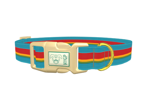 Turquoise Red Stripe Dog Collar