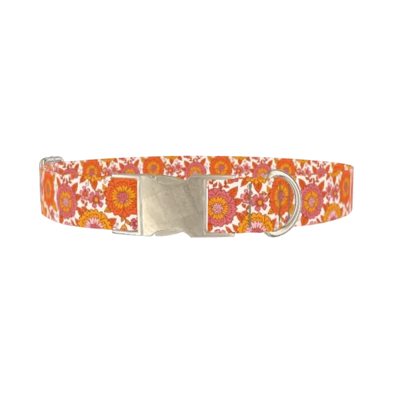 Orange Floral Burst Dog Collar - metal silver