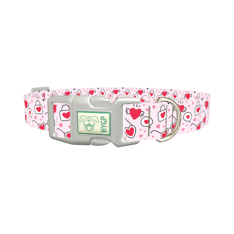 Heart Sunglasses Dog Collar - plastic silver