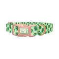 Pickle Jar Dog Collar - plastic rose gold