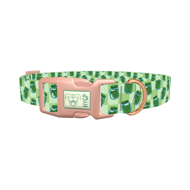 Pickle Jar Dog Collar - plastic rose gold