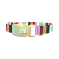 Colorful Stripe Dog Collar - plastic gold