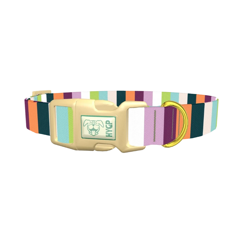 Colorful Stripe Dog Collar - plastic gold