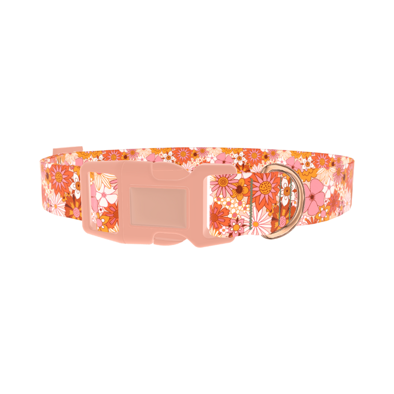 Retro Floral Burst Dog Collar - plastic rose gold