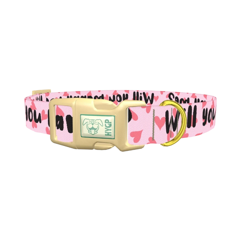 Heart Pattern Dog Collar - plastic gold