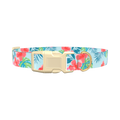 Multi Floral Hibiscus Dog Collar - plastic silver