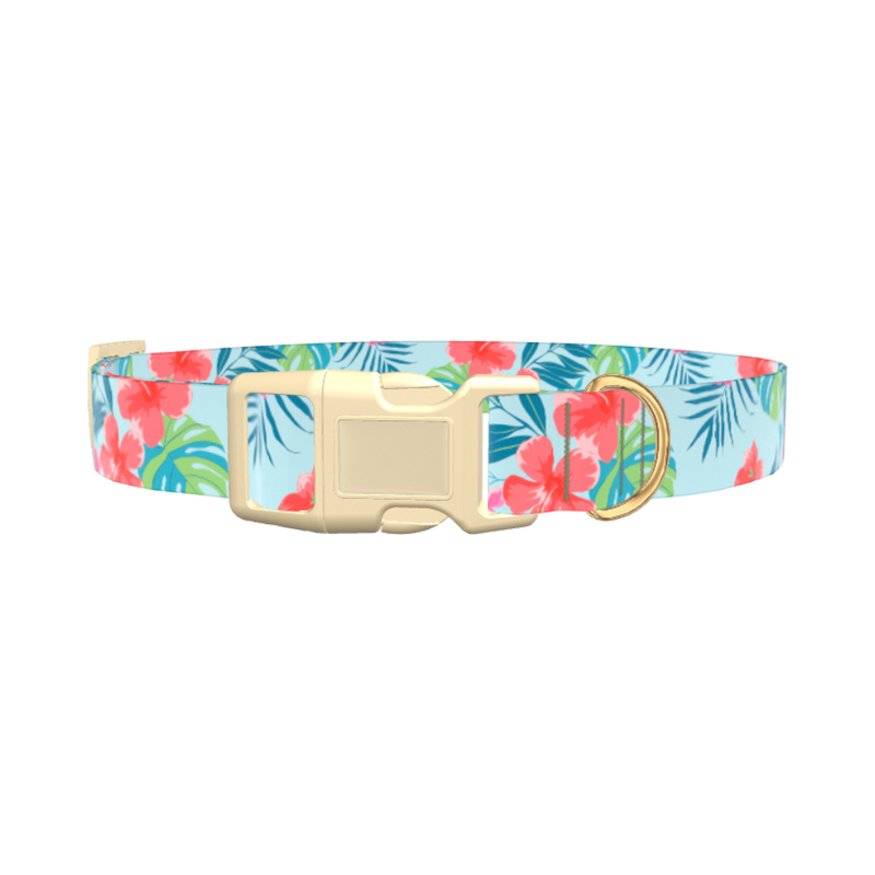 Multi Floral Hibiscus Dog Collar - plastic silver