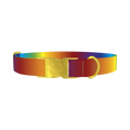 Rainbow Gradient Dog Collar - metal gold
