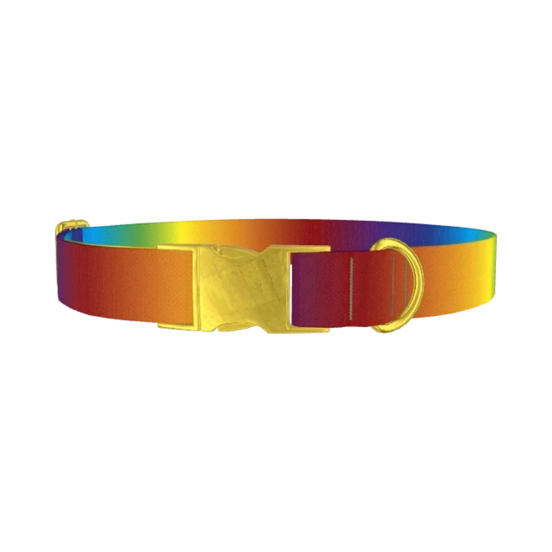 Rainbow Gradient Dog Collar - metal gold