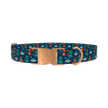 Alien Space Adventure Dog Collar - metal rose gold