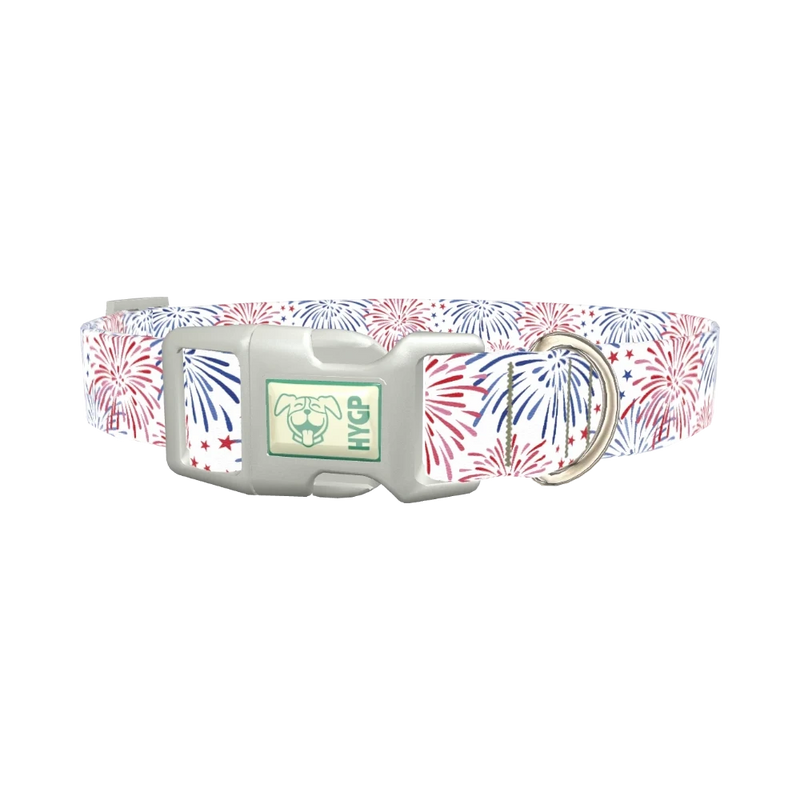 Fireworks Starburst Dog Collar - plastic silver
