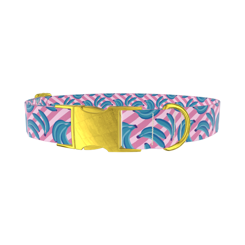 Blue Banana Dog Collar