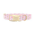 Romantic Speech Bubble Dog Collar - plastic silver