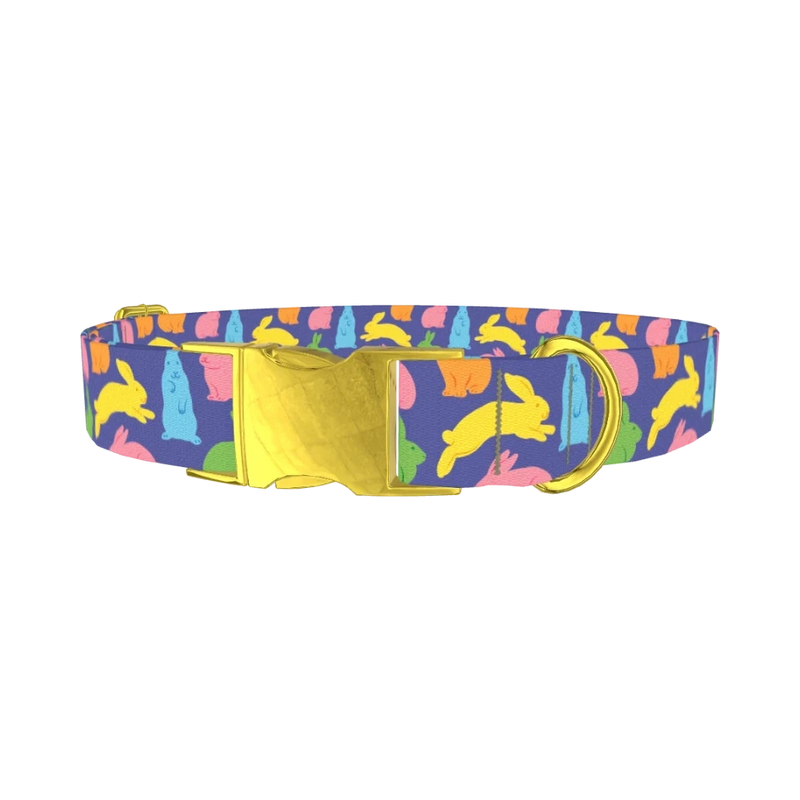 Colorful Bunny Pattern Dog Collar - metal gold