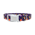 Halloween Witch Potion Dog Collar - plastic gold