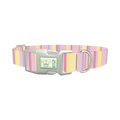 Geometric Stripe Dog Collar - plastic silver