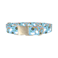 St. Patrick's Rainbow Dog Collar - metal silver