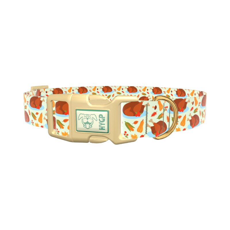 Harvest Feast Dog Collar - plastic silver