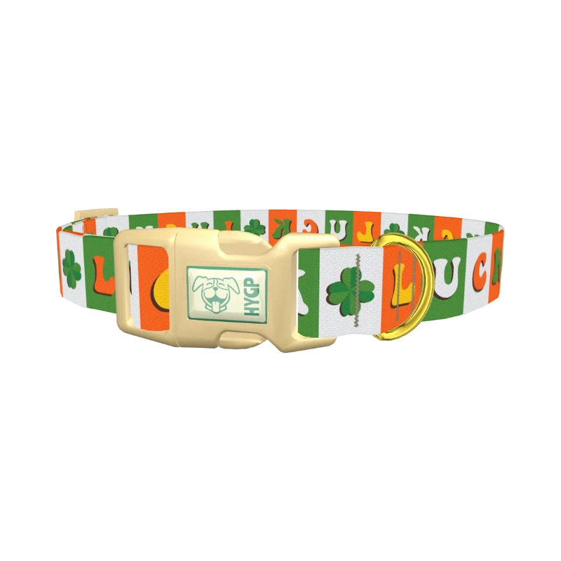 Lucky Clover Dog Collar - plastic gold