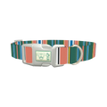 Green Orange Stripe Dog Collar - plastic silver