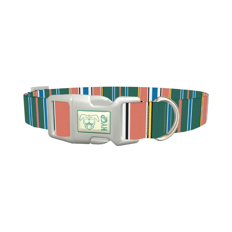 Green Orange Stripe Dog Collar - plastic silver