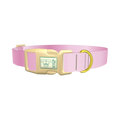 Pink Gradient Dog Collar - plastic gold