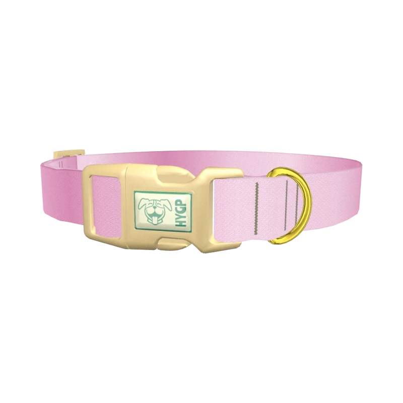Pink Gradient Dog Collar - plastic gold