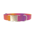 Gradient Pattern Dog Collar - metal silver