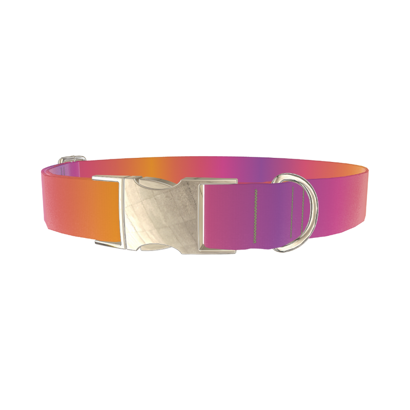 Gradient Pattern Dog Collar - metal silver