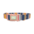 Colorful Striped Dog Collar - plastic rose gold