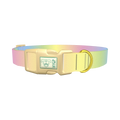 Pastel Gradient Dog Collar - plastic gold