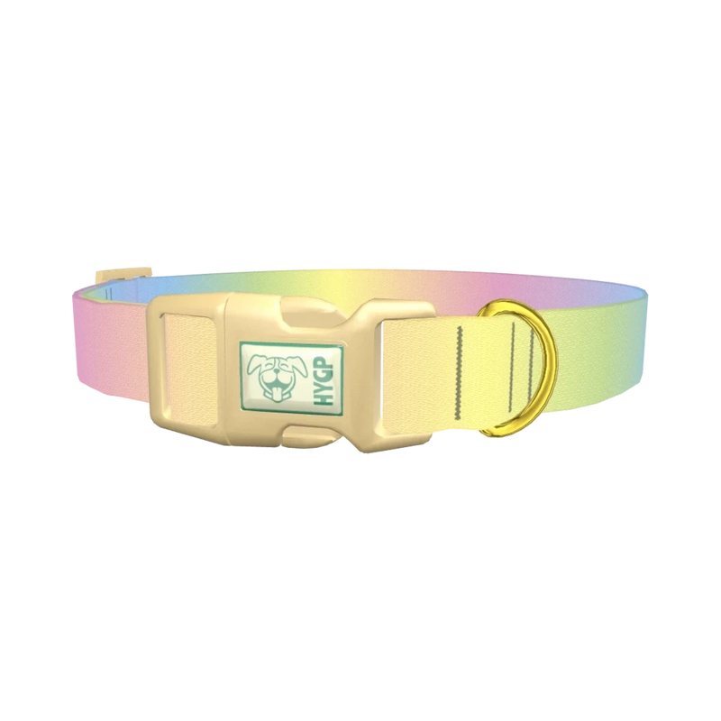 Pastel Gradient Dog Collar - plastic gold