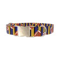 Striped Football 8870462849239 Dog Collar - metal silver