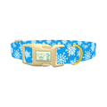 Blue Festive Snowflake Dog Collar - plastic gold
