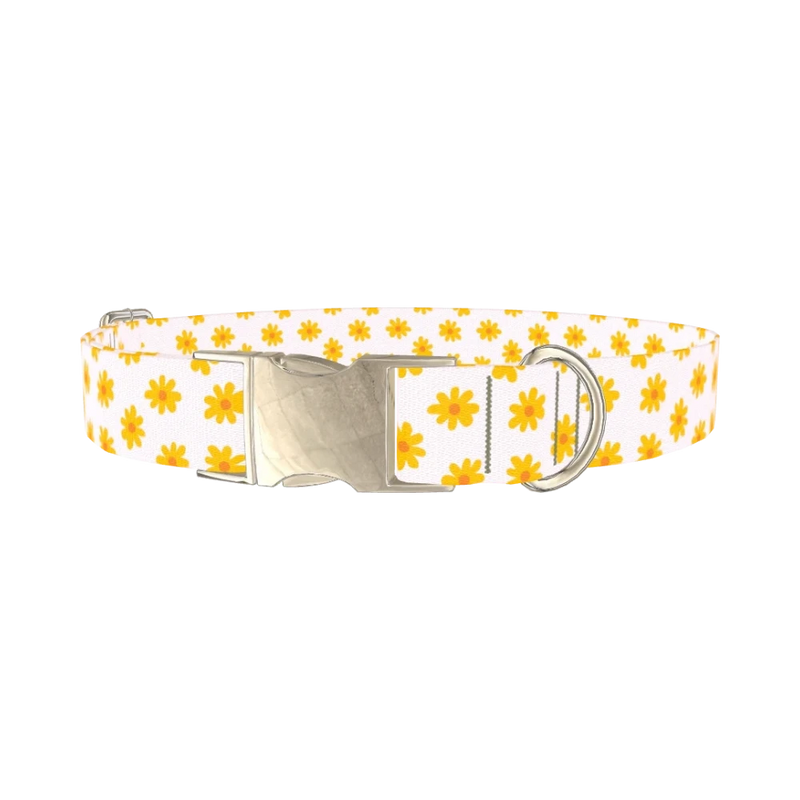 Yellow Daisy Dog Collar - metal silver