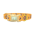 Mystical Sun and Moon Dog Collar - plastic gold