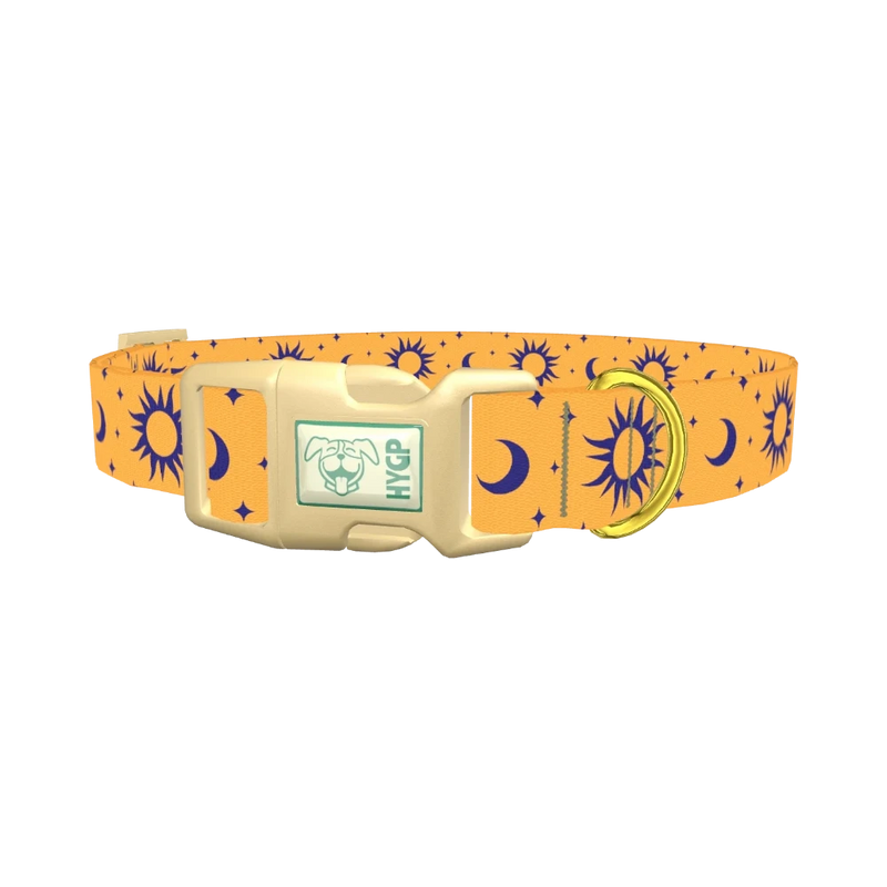 Mystical Sun and Moon Dog Collar - plastic gold