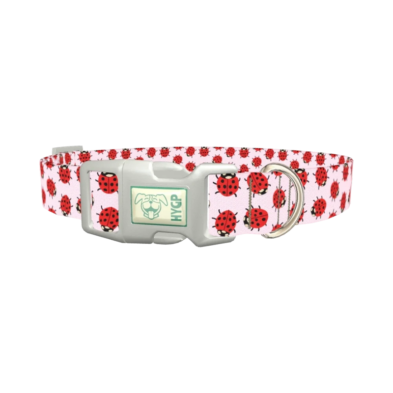 Ladybug Print Dog Collar - plastic silver