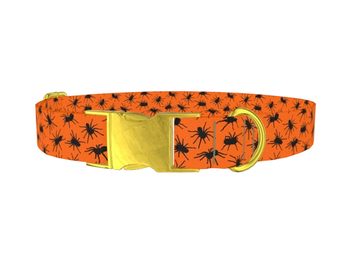 Halloween_Tarantulas