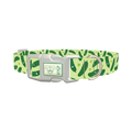 Kawaii Pickles Dog Collar - plastic silver