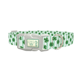Clover Stripes Dog Collar - plastic silver