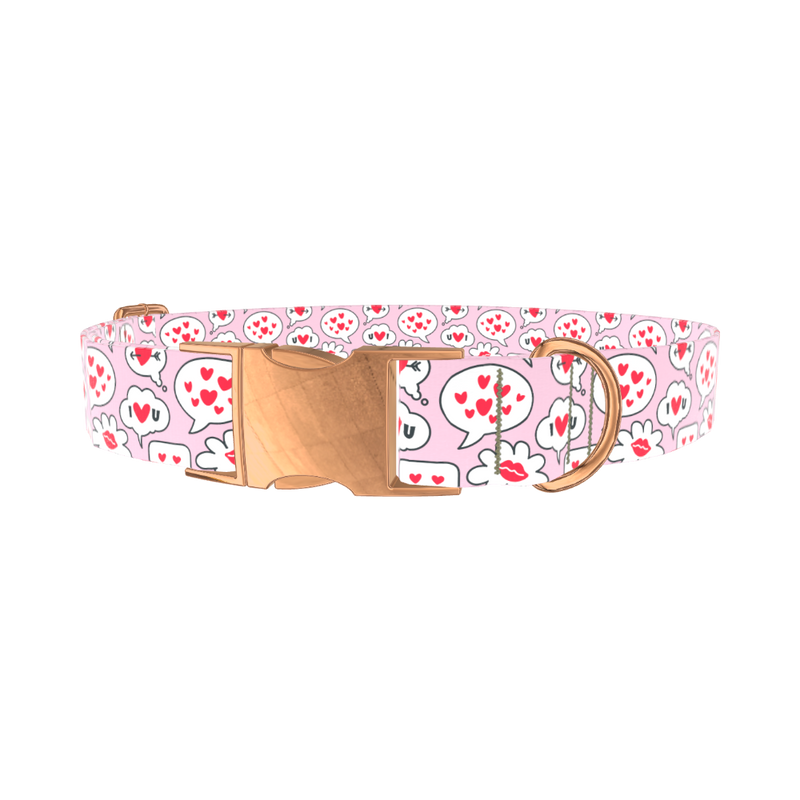 Romantic Speech Bubble Dog Collar - metal silver