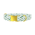 St. Patrick's Day Script Dog Collar - metal gold