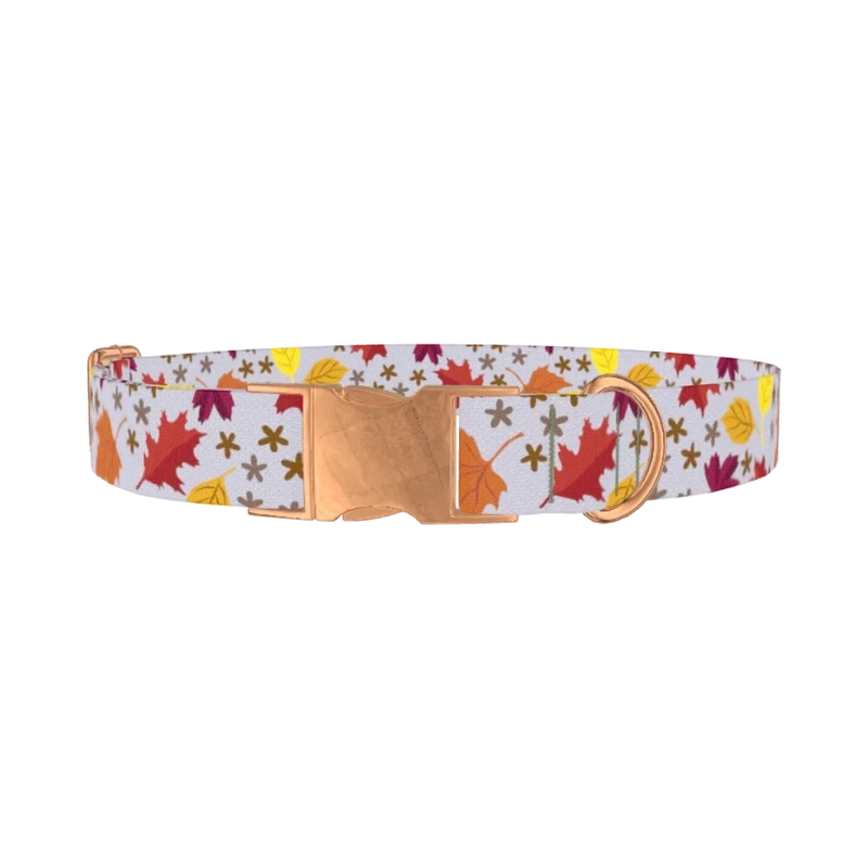 Autumn Acorn Dog Collar - metal rose gold